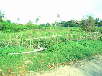 front beach land Bali